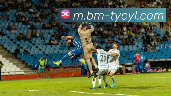 澳门太阳城服务体系